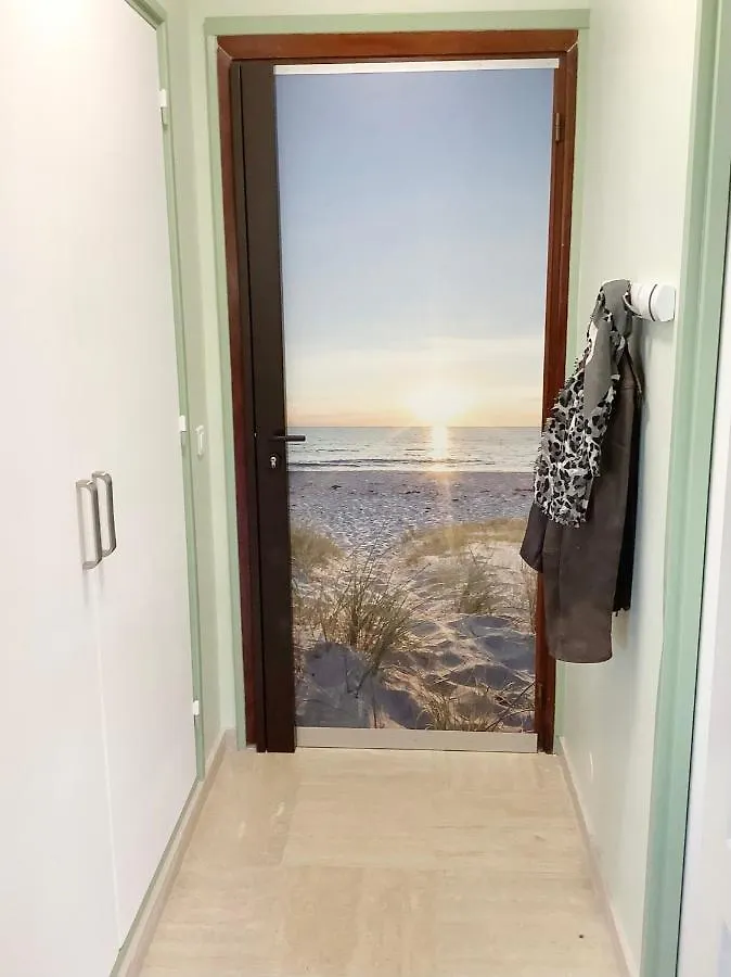 Studio Mimosa Croisette Cannes France