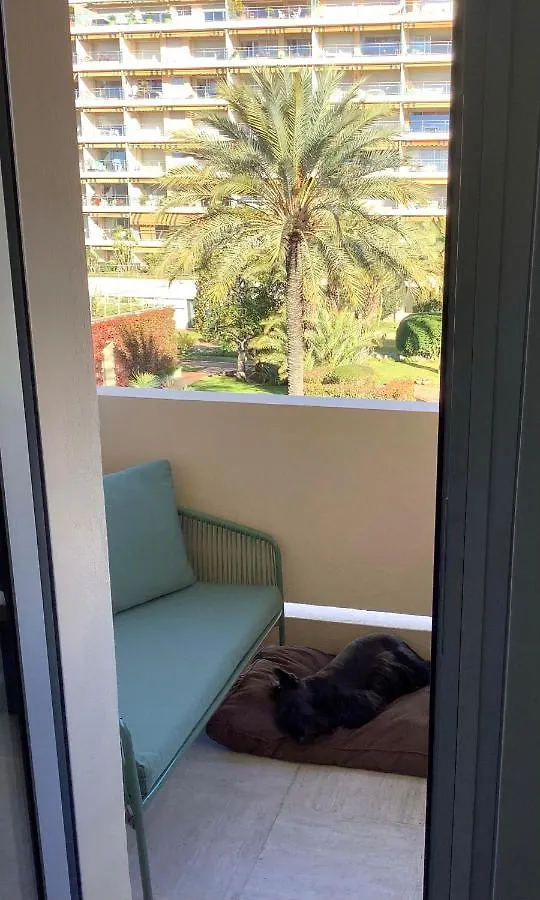 Studio Mimosa Croisette Apartment Cannes